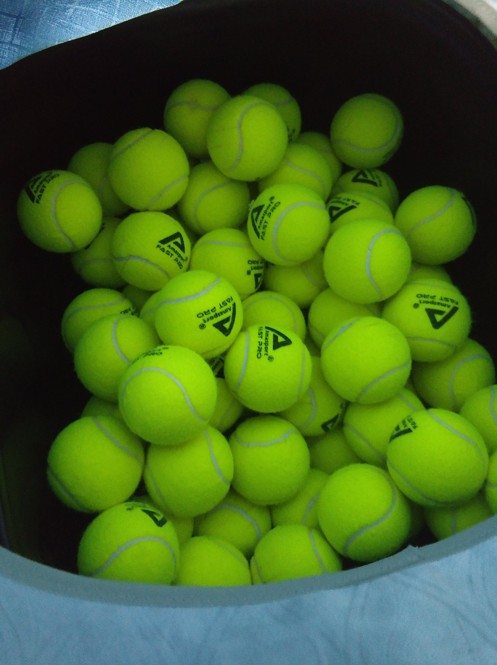 公然侮辱运 公然侮辱运