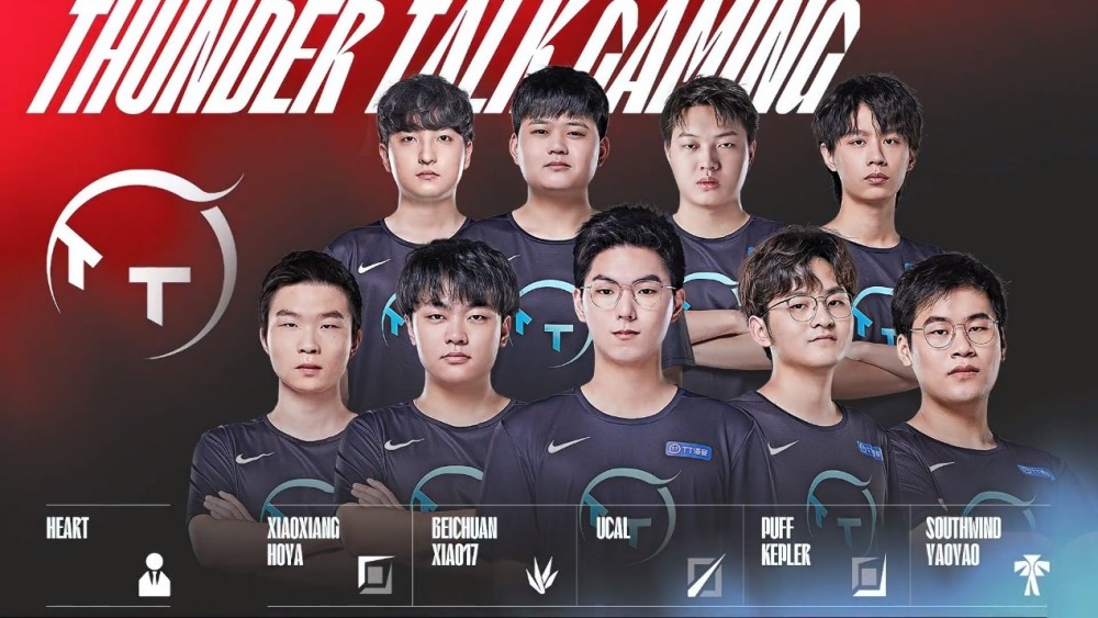 牙的整个预 牙的整个预