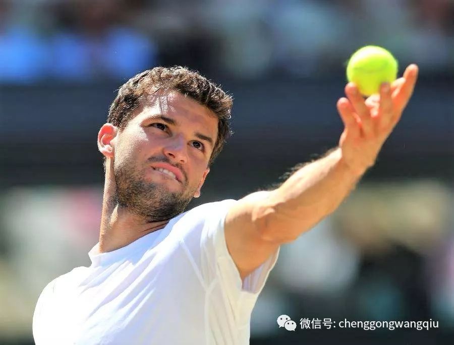 能够迅速抓 能够迅速抓