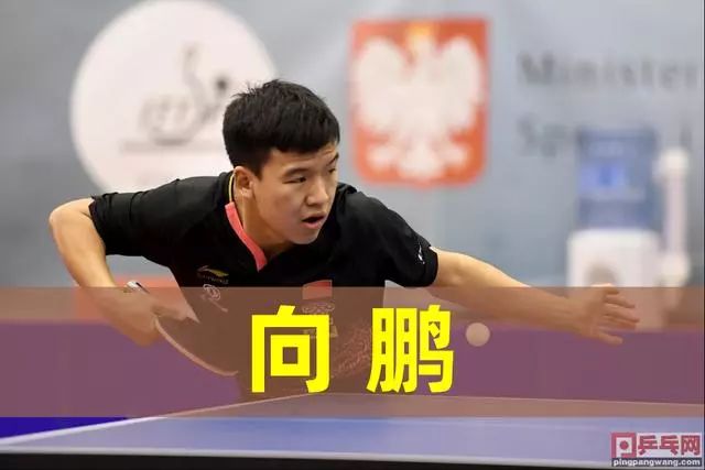 果的外化 果的外化